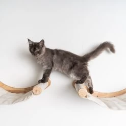 RHRQuality Wandmeubel Wandmontage Klimmuur Kat 53 X 43cm Luxe Hangmat XXL Creme Klim Wand Muur Krabpaal Katten Muurbevestiging -Dierenwinkel 1200x1200 532