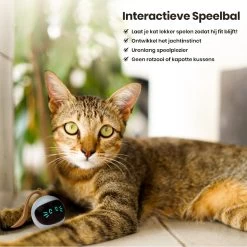 Otiume Interactieve Speelbal - Slimme Interactieve Jaag Speeltje Voor Katten - Kattenspeeltjes - Intelligente Jaagbal - AI -USB Oplaadbaar - LED - Blauw -Dierenwinkel 1200x1200 559