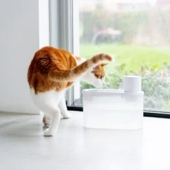 Hoopo® Agua - DRAADLOZE Waterfontein Katten - SMART Waterfontein Katten - UVC Disinfectie - 2 Liter - Automatische Katten Fontein -Dierenwinkel 1200x1200 572