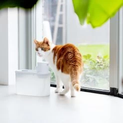 Hoopo® Agua - DRAADLOZE Waterfontein Katten - SMART Waterfontein Katten - UVC Disinfectie - 2 Liter - Automatische Katten Fontein -Dierenwinkel 1200x1200 573