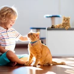 Relaxdays Kattenbak Ombouw - Met Zitkussen - Kattenhuis Wit - Kattenmeubel - Kattenkast -Dierenwinkel 1200x1200 589