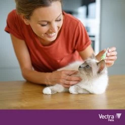 VECTRA Felis - Vlooiendruppels - Voor Katten 0.6 T/m 10 Kg - 3 Pipetten -Dierenwinkel 1200x1200 591
