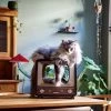 District 70 TELLY - Retro TV Krabmeubel - Instagrammable Kartonnen TV Voor Katten - 39 X 27 X 37 Cm 1 District 70 TELLY - Retro TV Krabmeubel - Instagrammable Kartonnen TV Voor Katten - 39 X 27 X 37 Cm -Dierenwinkel 1200x1200 592
