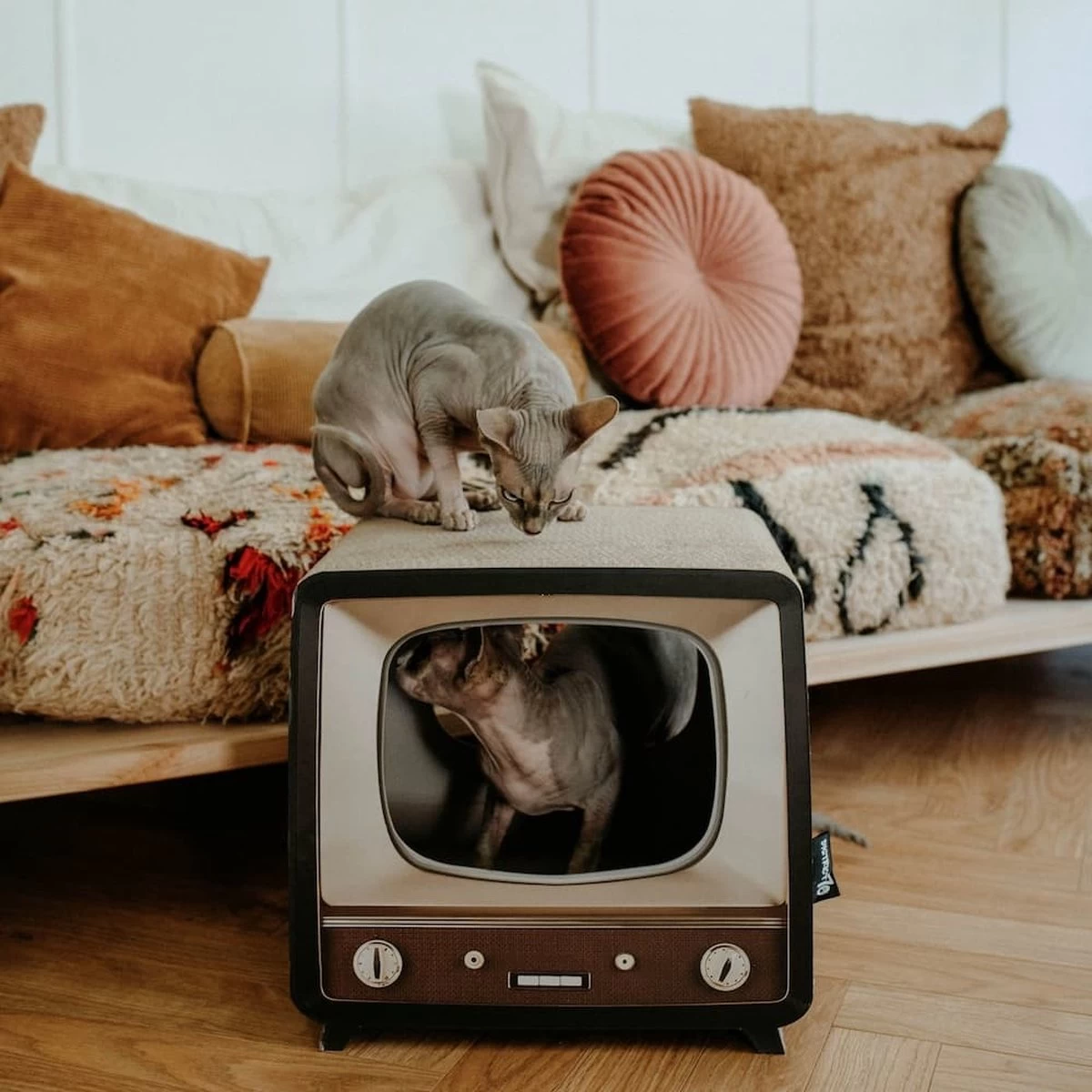 District 70 TELLY - Retro TV Krabmeubel - Instagrammable Kartonnen TV Voor Katten - 39 X 27 X 37 Cm 4 District 70 TELLY - Retro TV Krabmeubel - Instagrammable Kartonnen TV Voor Katten - 39 X 27 X 37 Cm - Afbeelding 2