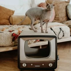 District 70 TELLY - Retro TV Krabmeubel - Instagrammable Kartonnen TV Voor Katten - 39 X 27 X 37 Cm 17 District 70 TELLY - Retro TV Krabmeubel - Instagrammable Kartonnen TV Voor Katten - 39 X 27 X 37 Cm -Dierenwinkel 1200x1200 594