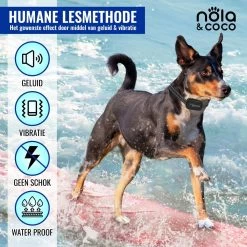 Nola & Coco® Oplaadbare Anti Blafband - 4 Kleuren - Zonder Schok - Waterdichte Diervriendelijke Blaf Halsband - Opvoedingshalsband - Voor Grote En Kleine Honden - Lichte Vibratie En Geluid - 3 Tot 60kg -Dierenwinkel 1200x1200 68