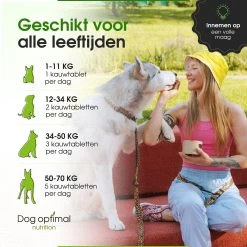 DOG OPTIMAL ANTI ALLERGY SUPPORT 120 Stuks - Allergie - Honden - Hondensnacks - Hondenkoekjes - Hondensupplementen - Honden - Puppy - Hondenvoeding - Weerstand - Jeuk-hond - Jeuk -Dierenwinkel 1200x1200 77