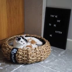 District 70 COCOON - Luxe Hondenmand Van Duurzaam Hoogwaardig Riet Met Zacht Kussen - Maten S/M/L - Large -Dierenwinkel 1200x1200 94