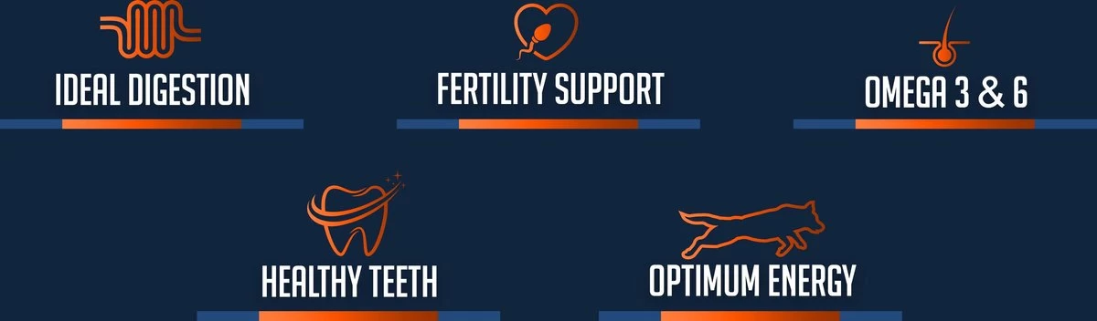 Avalon Petfood Original - Hondenvoer - 20 Kg 4 Avalon Petfood Original - Hondenvoer - 20 Kg - Afbeelding 2