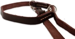 Multifunctionele Hondenriem - 220cm - Bruin - Leren Hondenriem - 100% Volnerfleer - Hondenriem Leer - Leiband Hond 16 Multifunctionele Hondenriem - 220cm - Bruin - Leren Hondenriem - 100% Volnerfleer - Hondenriem Leer - Leiband Hond -Dierenwinkel 1200x631