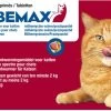 Milbemax Ontworming Tabletten Grote Kat 2 - 12 Kg 2 X 2 Tabletten 2 Milbemax Ontworming Tabletten Grote Kat 2 - 12 Kg 2 X 2 Tabletten -Dierenwinkel 1200x706 1