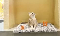 Merkloos Zelfverwarmende Dierendeken Zonder Stroom Thermo Deken Hond Kat Inclusief Adreslabel 70 X 47 Cm -Dierenwinkel 1200x730