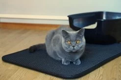 Merkloos Tastelio XXL Kattenbakmat 75x55cm - Groot Kattenbak Mat Met Innovatieve Honingraatstructuur - Dubbele Waterdichte Laag - Katten Bak Mat Met Eenvoudige Reiniging Grit Opvanger 23 Merkloos Tastelio XXL Kattenbakmat 75x55cm - Groot Kattenbak Mat Met Innovatieve Honingraatstructuur - Dubbele Waterdichte Laag - Katten Bak Mat Met Eenvoudige Reiniging Grit Opvanger -Dierenwinkel 1200x799 16