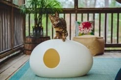 SinDesign Poopoopeedo Kattenbak - Zwart -Dierenwinkel 1200x800 19