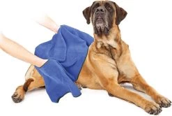 Duvo+ Hondenhanddoek 70 X 100 Cm 11 Duvo+ Hondenhanddoek 70 X 100 Cm -Dierenwinkel 1200x808