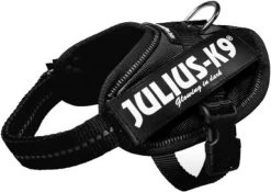 Julius K9 K9®Powertuig, S - Mini, Zwart -Dierenwinkel 1200x850