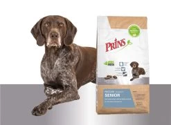 Prins Procare Senior - 15 KG -Dierenwinkel 1200x877