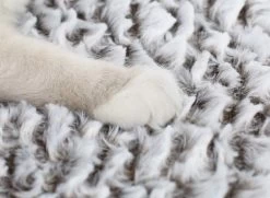 Merkloos Zelfverwarmende Dierendeken Zonder Stroom Thermo Deken Hond Kat Inclusief Adreslabel 70 X 47 Cm -Dierenwinkel 1200x878 1