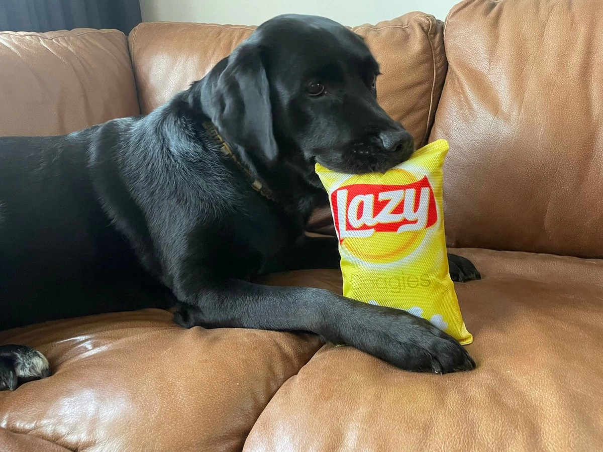 Merkloos Lazy Doggies Krakend Hondenspeelgoed 4 Merkloos Lazy Doggies Krakend Hondenspeelgoed - Afbeelding 2