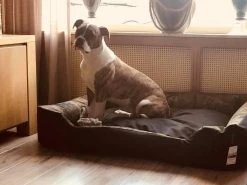 Hondenmand Cordura XXXL – Donkergrijs - 125 X 90 X 24 Cm 15 Hondenmand Cordura XXXL – Donkergrijs - 125 X 90 X 24 Cm -Dierenwinkel 1200x900 19