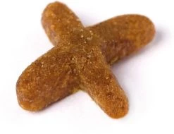 Prins VitalCare Indoor 10 Kg - Kat 30 Prins VitalCare Indoor 10 Kg - Kat -Dierenwinkel 1200x922 1