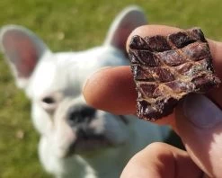 Topdiervoeding Runderlong Hondensnacks - Vers Gedroogd - Knapperig - 1 KG 11 Topdiervoeding Runderlong Hondensnacks - Vers Gedroogd - Knapperig - 1 KG -Dierenwinkel 1200x960 2