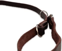 Multifunctionele Hondenriem - 220cm - Bruin - Leren Hondenriem - 100% Volnerfleer - Hondenriem Leer - Leiband Hond 17 Multifunctionele Hondenriem - 220cm - Bruin - Leren Hondenriem - 100% Volnerfleer - Hondenriem Leer - Leiband Hond -Dierenwinkel 1200x993