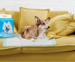 Nobleza 48LXB - Puppy Training Pads - 60 X 90 Cm - Zindelijkheidstraining - 100 Stuks -Dierenwinkel 1200x997