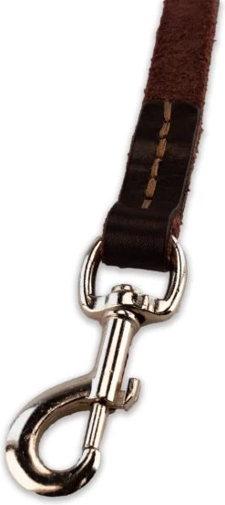 Multifunctionele Hondenriem - 220cm - Bruin - Leren Hondenriem - 100% Volnerfleer - Hondenriem Leer - Leiband Hond 14 Multifunctionele Hondenriem - 220cm - Bruin - Leren Hondenriem - 100% Volnerfleer - Hondenriem Leer - Leiband Hond -Dierenwinkel 536x1200