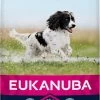 Eukanuba Dog Adult Medium Breed - Kip - Hondenvoer - 15 Kg 1 Eukanuba Dog Adult Medium Breed - Kip - Hondenvoer - 15 Kg -Dierenwinkel 548x1200