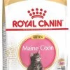 Royal Canin Maine Coon Kitten - Kattenvoer - 4 Kg -Dierenwinkel 578x1200