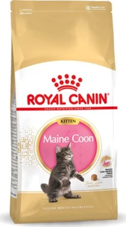 Royal Canin Maine Coon Kitten - Kattenvoer - 4 Kg 31 Royal Canin Maine Coon Kitten - Kattenvoer - 4 Kg -Dierenwinkel 668x1200