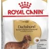 Royal Canin Dachshund/Teckel Adult 7.5 KG -Dierenwinkel 717x1200