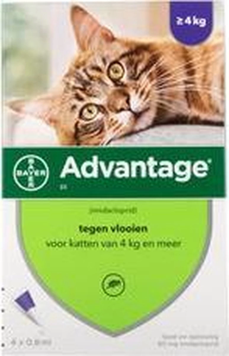 Advantage 80 Vlooiendruppelsl Kat Vanaf 4 Kg - 4 Pipetten 6 Advantage 80 Vlooiendruppelsl Kat Vanaf 4 Kg - 4 Pipetten - Afbeelding 4