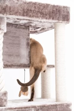 Petrebels Lodge 107 Krabpaal - Cappuccino - Design - Zeer Stabiel 20 Petrebels Lodge 107 Krabpaal - Cappuccino - Design - Zeer Stabiel -Dierenwinkel 800x1200 10