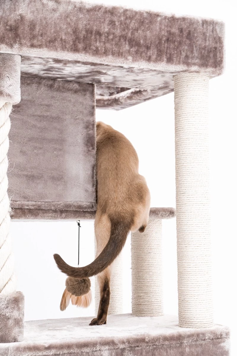 Petrebels Lodge 107 Krabpaal - Cappuccino - Design - Zeer Stabiel 10 Petrebels Lodge 107 Krabpaal - Cappuccino - Design - Zeer Stabiel - Afbeelding 8