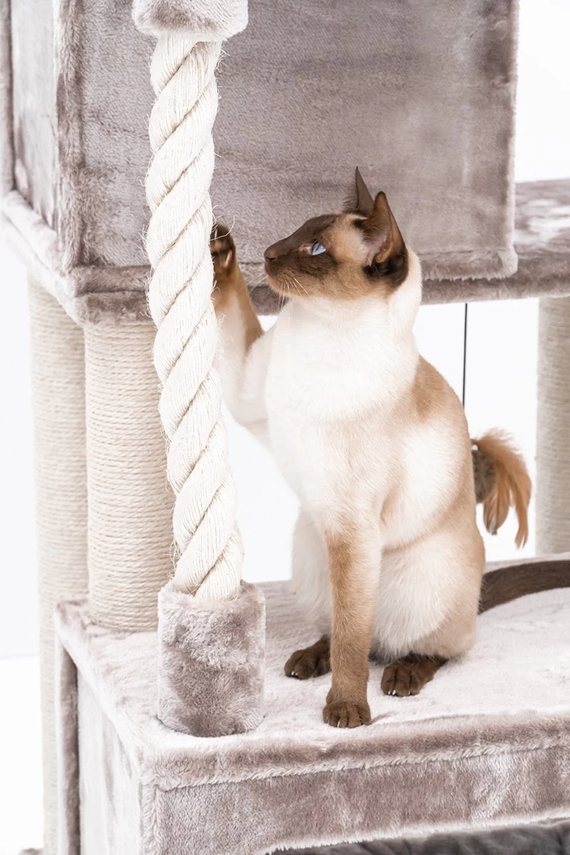 Petrebels Lodge 107 Krabpaal - Cappuccino - Design - Zeer Stabiel 13 Petrebels Lodge 107 Krabpaal - Cappuccino - Design - Zeer Stabiel - Afbeelding 11