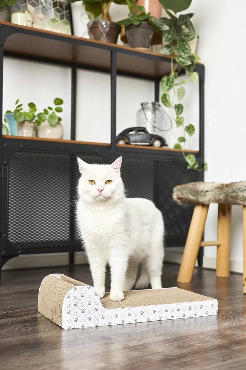 Adori Krabplank Met Spel - Krabpaal - 45x25x11 Cm 3 Adori Krabplank Met Spel - Krabpaal - 45x25x11 Cm