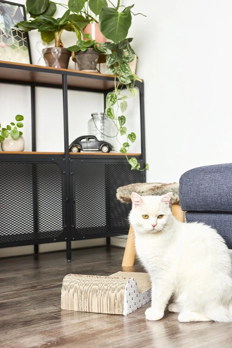 Adori Krabplank Met Spel - Krabpaal - 45x25x11 Cm 4 Adori Krabplank Met Spel - Krabpaal - 45x25x11 Cm - Afbeelding 2