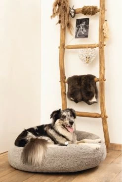 Beeztees Orthopedische Hondenmand Jaxx Grijs 70 Cm - Hond -Dierenwinkel 801x1200