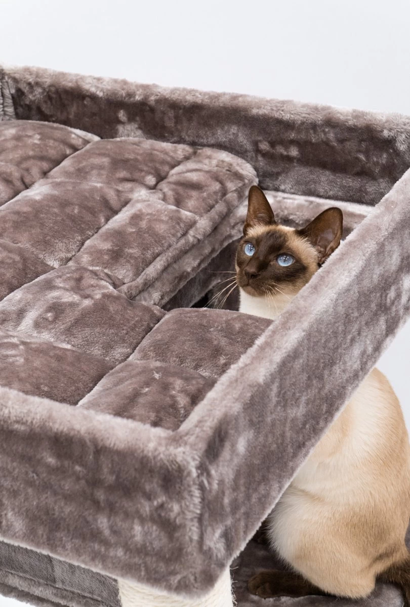 Petrebels Lodge 107 Krabpaal - Cappuccino - Design - Zeer Stabiel 12 Petrebels Lodge 107 Krabpaal - Cappuccino - Design - Zeer Stabiel - Afbeelding 10