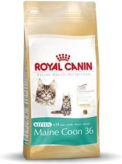 Royal Canin Maine Coon Kitten - Kattenvoer - 4 Kg 27 Royal Canin Maine Coon Kitten - Kattenvoer - 4 Kg -Dierenwinkel 893x1200 2
