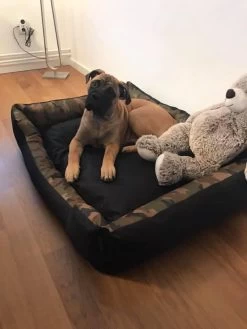 Hondenmand Cordura XXXL – Donkergrijs - 125 X 90 X 24 Cm 14 Hondenmand Cordura XXXL – Donkergrijs - 125 X 90 X 24 Cm -Dierenwinkel 900x1200 13