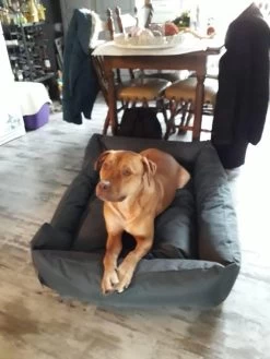 Hondenmand Cordura XXXL – Donkergrijs - 125 X 90 X 24 Cm 16 Hondenmand Cordura XXXL – Donkergrijs - 125 X 90 X 24 Cm -Dierenwinkel 900x1200 14