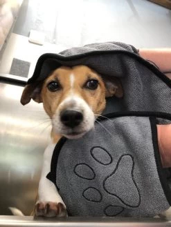 N4dogs – Hondenhanddoek – Honden Handdoek – Microvezel Handdoek – Handdoek Hond – Droogdoek Hond – Dierendeken – Sterk Absorberend – Handdoek Met Zakken - Grijs - 66 X 23 Cm