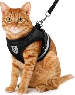 Merkloos Kattentuigje Met Looplijn | Zwart Kattenharnas | Easy Step In | Kattenriem | Kattenlijn | Kattentuig | Maat S