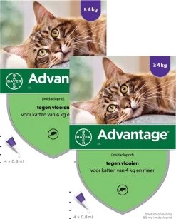 Bayer Advantage 80 Kat 4 Pip - Anti Vlooienmiddel - 2 X 0.8 Ml - > 4 Kg 7 Bayer Advantage 80 Kat 4 Pip - Anti Vlooienmiddel - 2 X 0.8 Ml - > 4 Kg -Dierenwinkel 965x1200