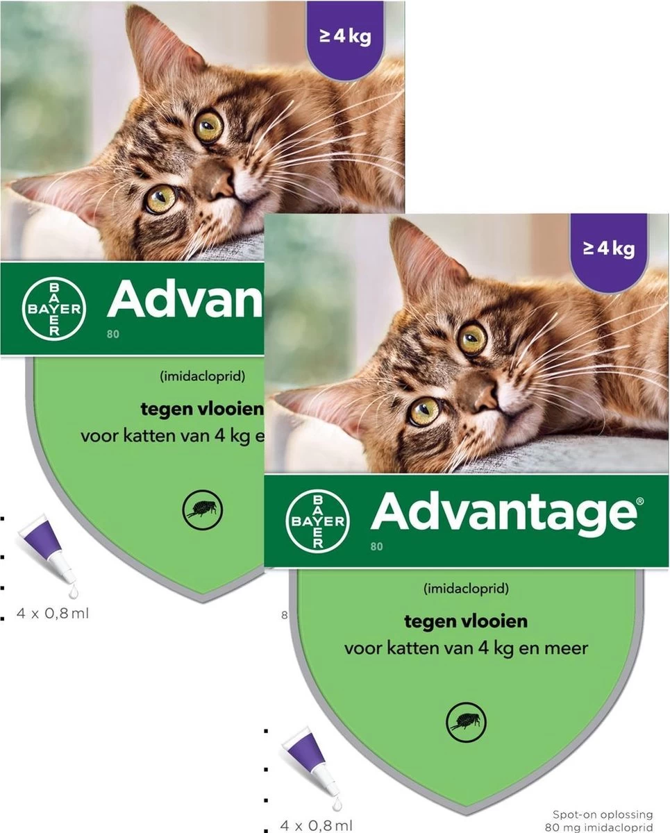 Bayer Advantage 80 Kat 4 Pip - Anti Vlooienmiddel - 2 X 0.8 Ml - > 4 Kg 5 Bayer Advantage 80 Kat 4 Pip - Anti Vlooienmiddel - 2 X 0.8 Ml - > 4 Kg - Afbeelding 3