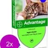 Bayer Advantage 80 Kat 4 Pip - Anti Vlooienmiddel - 2 X 0.8 Ml - > 4 Kg -Dierenwinkel 968x1200